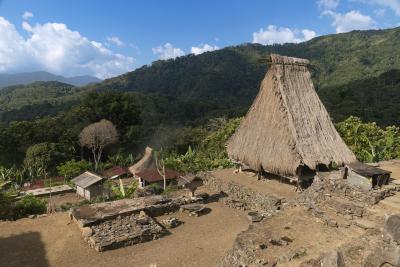 Village of Saga, Flores