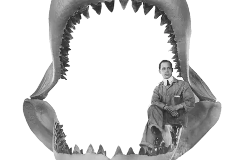 Reconstruction of a megalodon's jaws