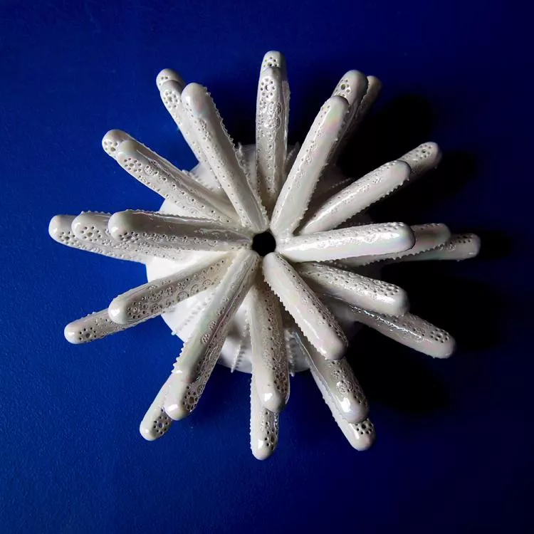 Stellate Diatom Thalassion­ema Colony Shield, by Marguerita Hagan. Hand-built ceramic, 8 x 8 x 4in