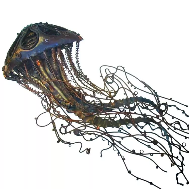 Jellyfish, by Alan Williams