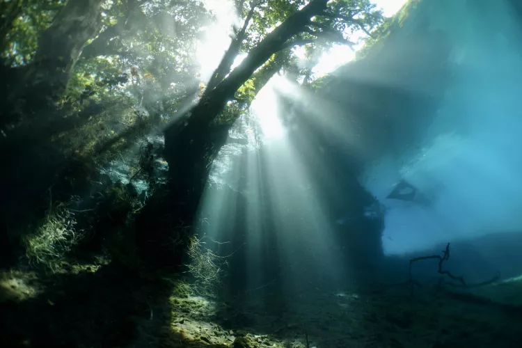 Sunbeams stream down into Matevulu Blue Hole. Photo by Pierre Constant.