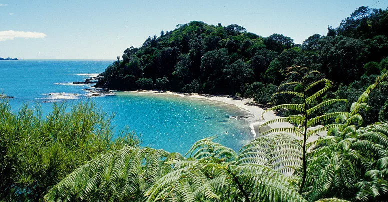 North Island, New Zealand. Photo by Barb Roy