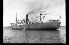SS Port Nicholson was a British refrigerated cargo ship which was sunk by a German U-boat during the Second World War