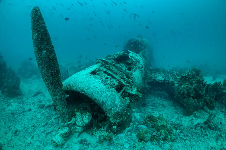 Wreck of a Nakajima “Kate” B5N fighter-bomber in Kavieng