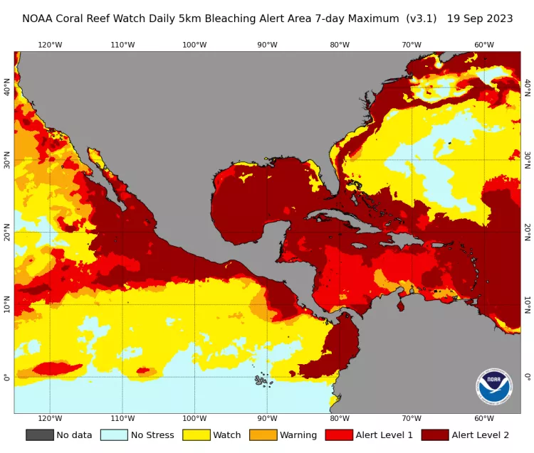NOAA Coral Reef Watch coral bleaching alert map