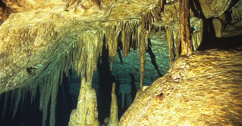 View of “Ali Baba” cave on descent underwater between stalactites. Photo by Pierre Constant